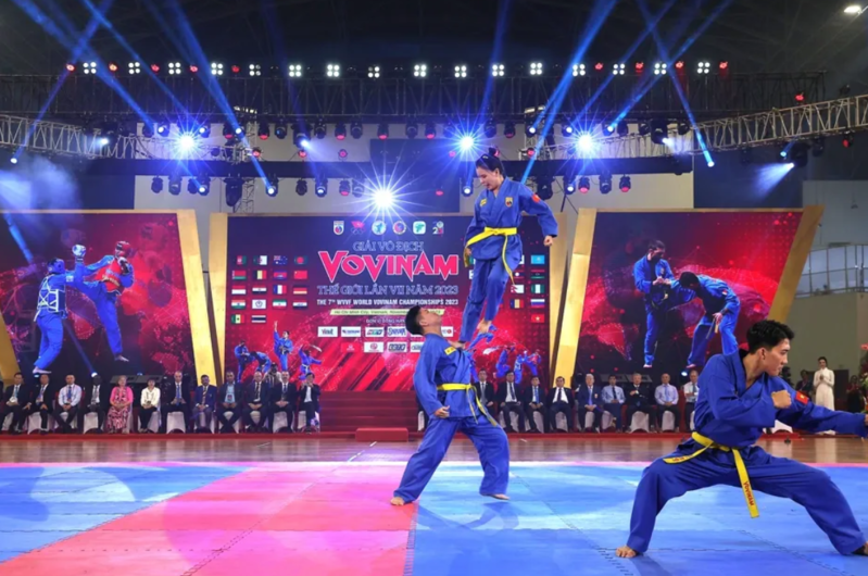 Vovinam là môn võ Việt Nam kết hợp kỹ thuật tự vệ, rèn luyện thể chất và tinh thần võ đạo. 