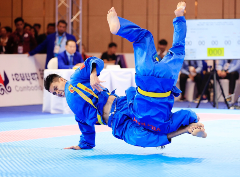 Các đòn chân, đòn tay, phản đòn và khóa gỡ tạo nên nét đặc trưng mạnh mẽ của Vovinam. 