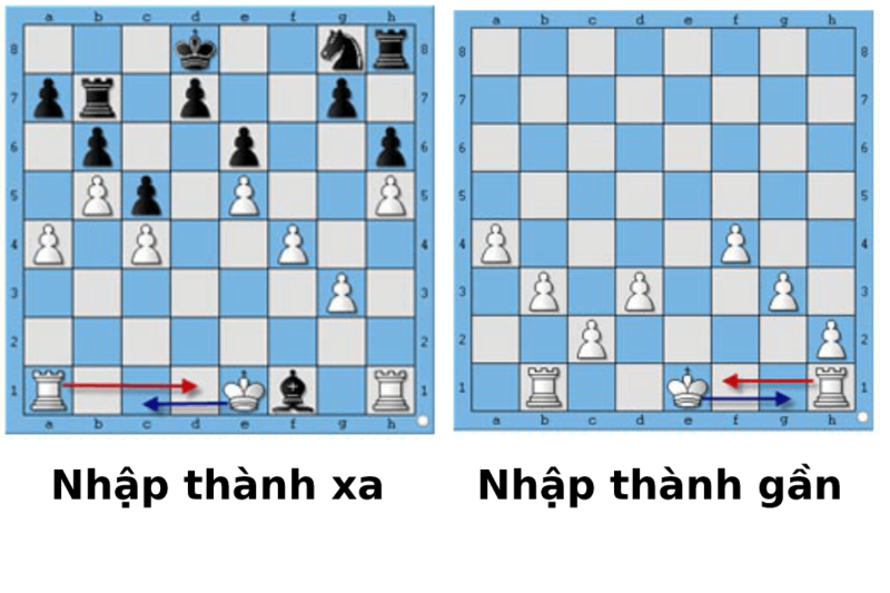 Các nước đi đặc biệt như nhập thành, phong cấp và bắt Tốt qua đường giúp ván cờ trở nên hấp dẫn hơn. 